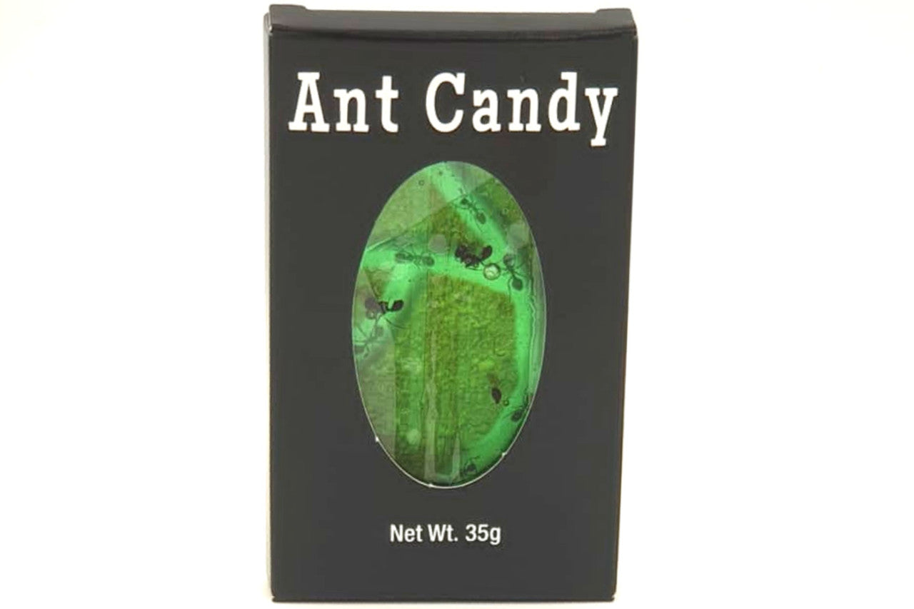 Hotlix-Ant Candy with Real Black Ants-125-23-1-Apple-Legacy Toys