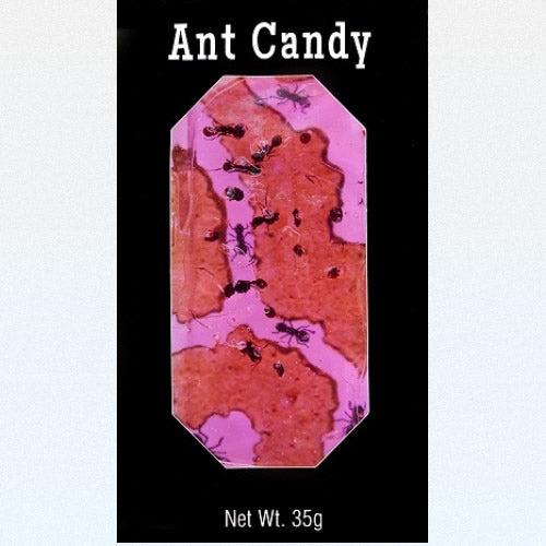 Hotlix-Ant Candy with Real Black Ants-245-1-Cherry-Legacy Toys