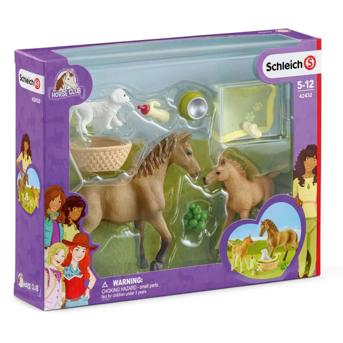 Playset Schleich Horse Club 