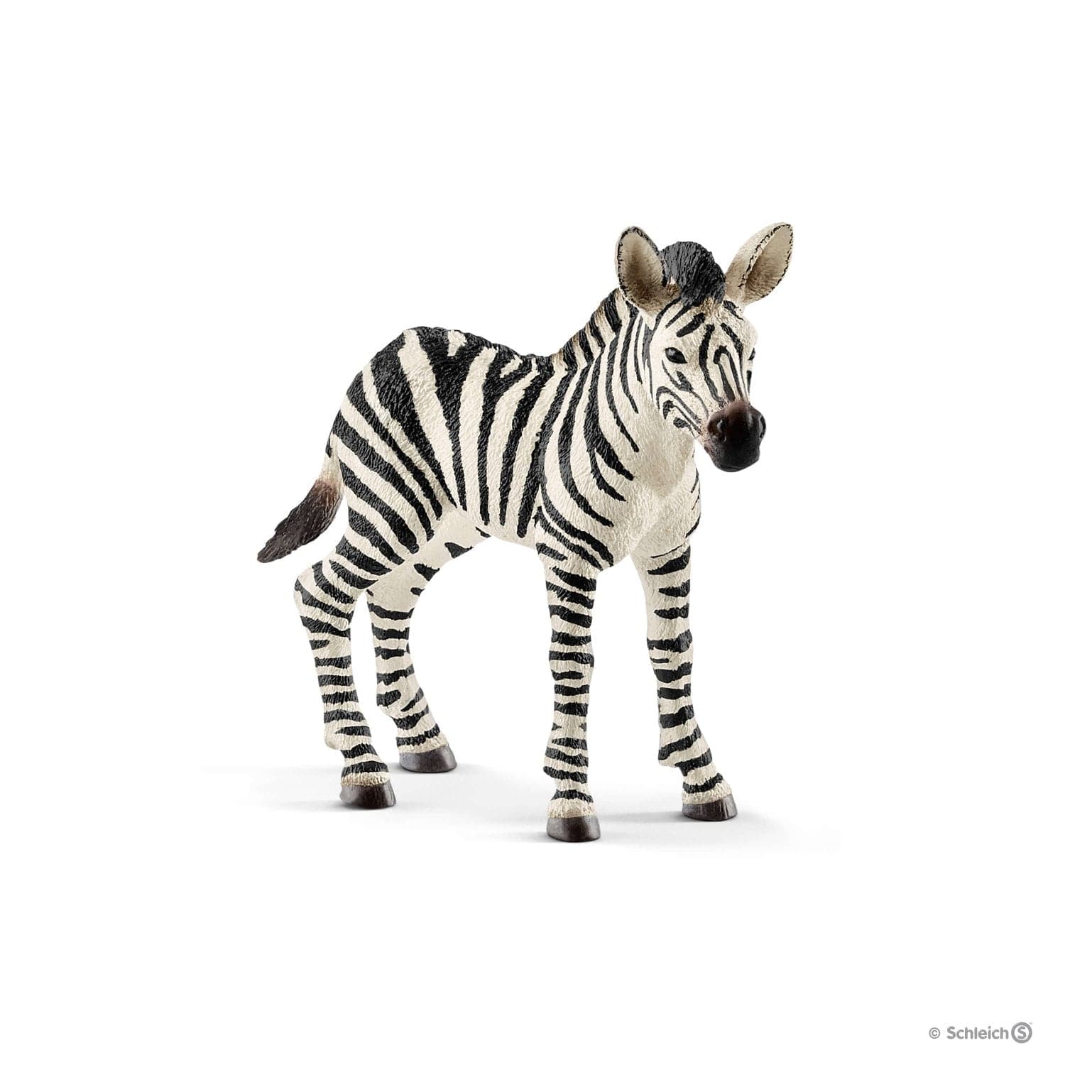 Schleich-Zebra Foal-14811-Legacy Toys
