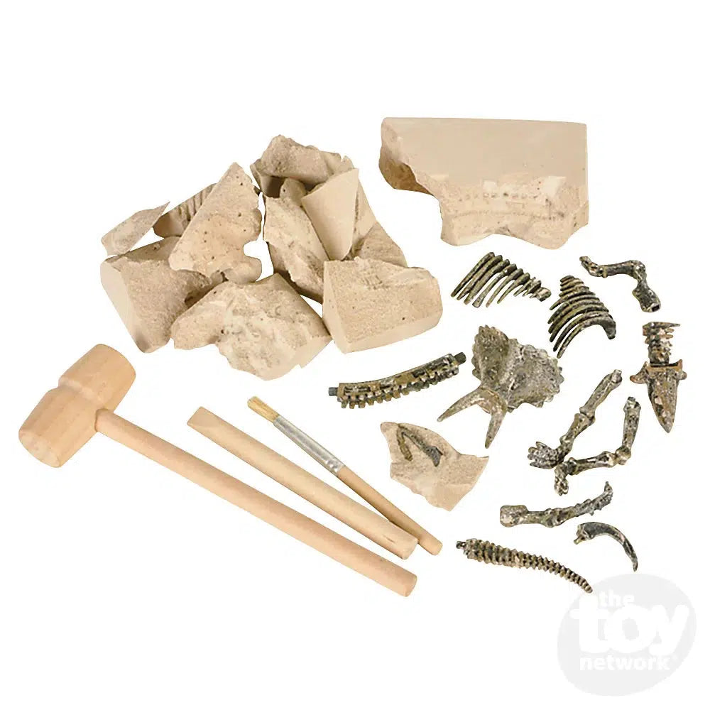 The Toy Network-Dinosaur Deluxe Fossil Excavation Kit-AM-EXDFO-Legacy Toys