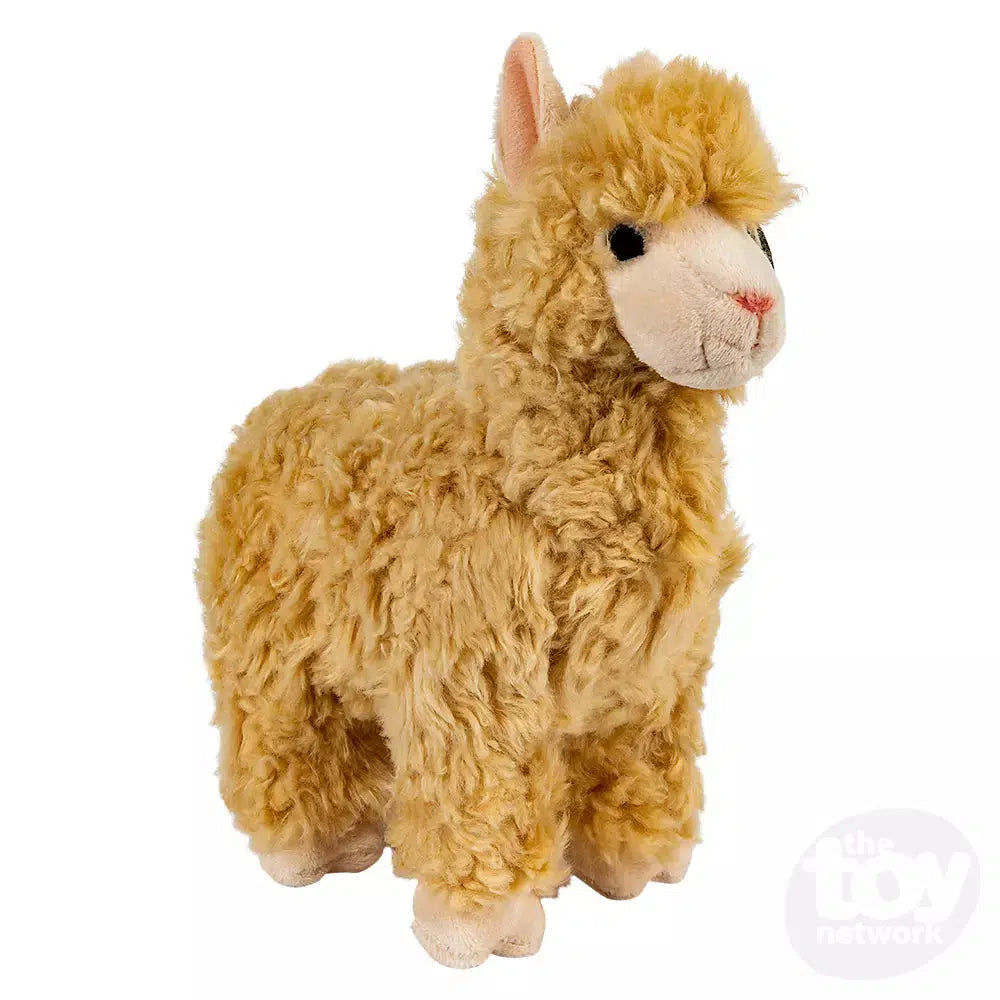 The Toy Network-10