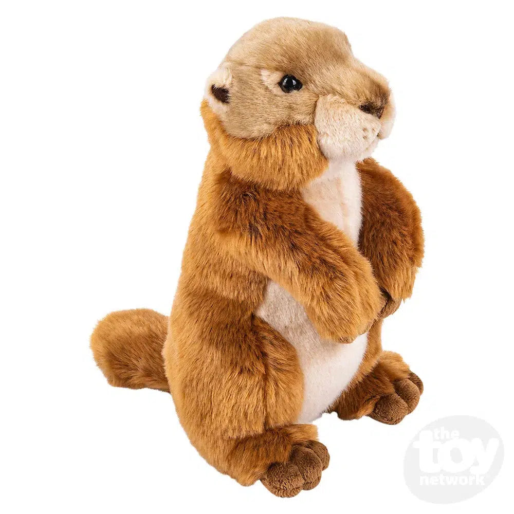 The Toy Network-10