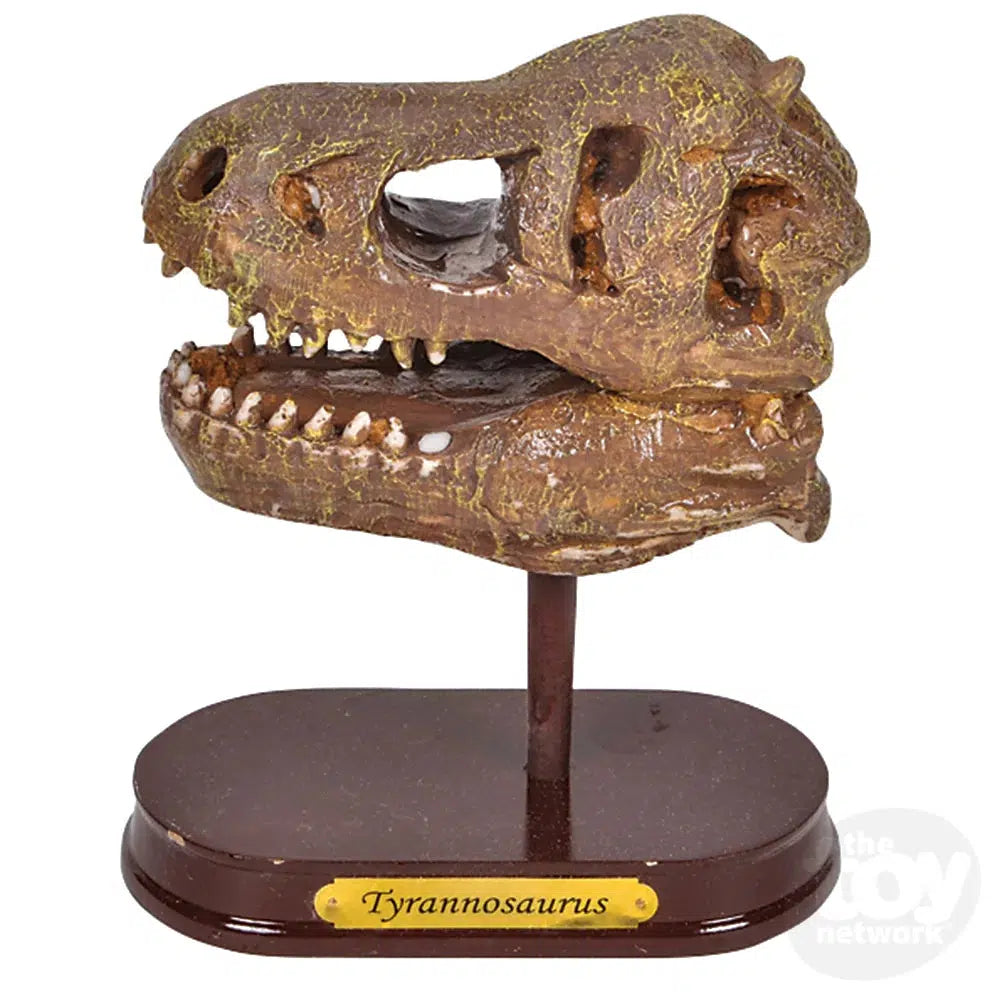 The Toy Network-6.5" Dinosaur Skull Excavation Dig Kit T-Rex-AM-EXDTX-Legacy Toys