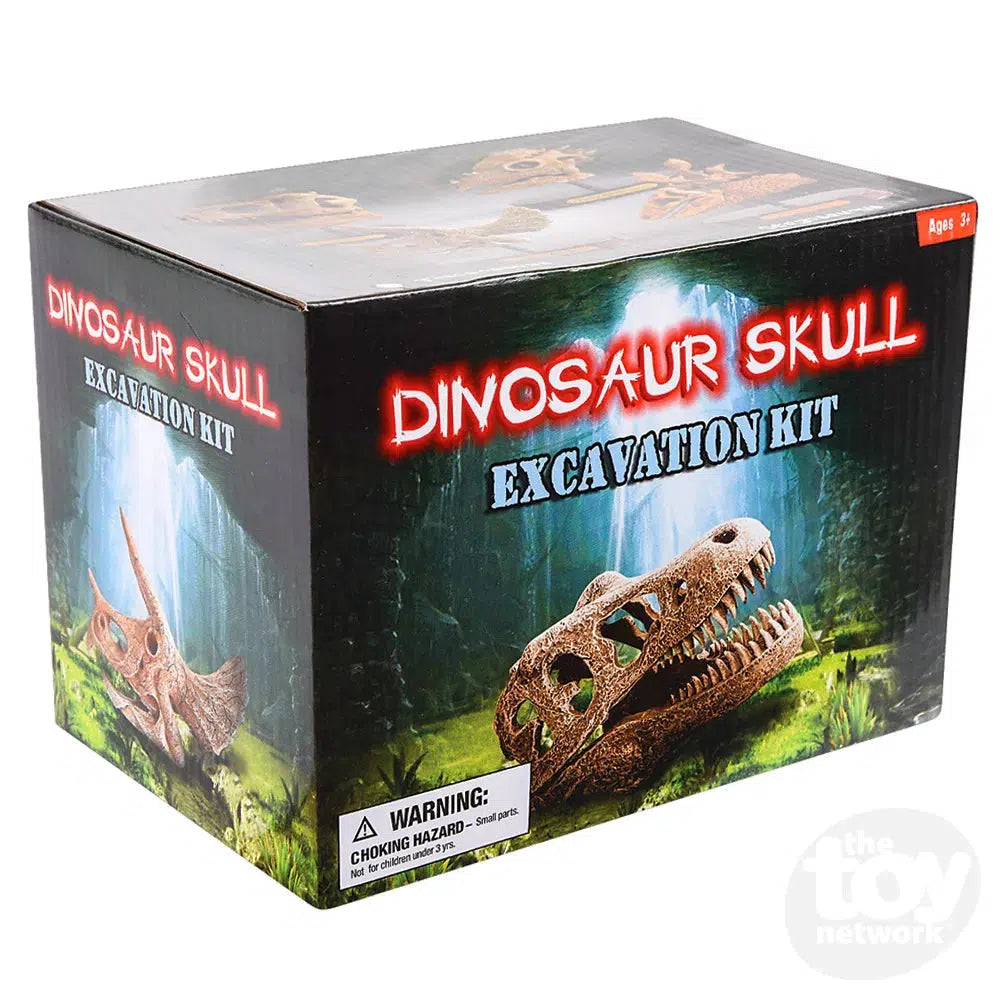 The Toy Network-6.5" Dinosaur Skull Excavation Dig Kit T-Rex-AM-EXDTX-Legacy Toys