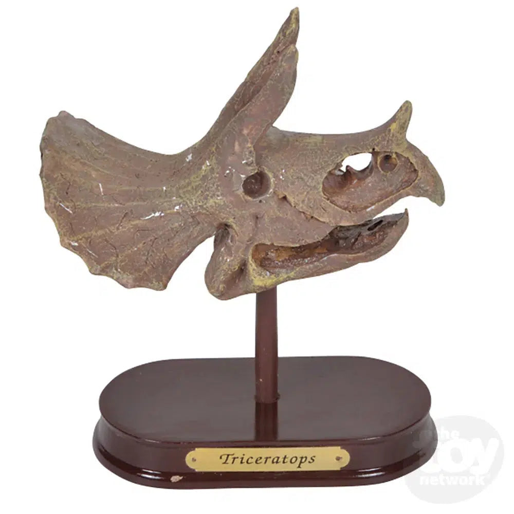 The Toy Network-6.5" Dinosaur Skull Excavation Dig Kit Triceratops-AM-EXDTR-Legacy Toys