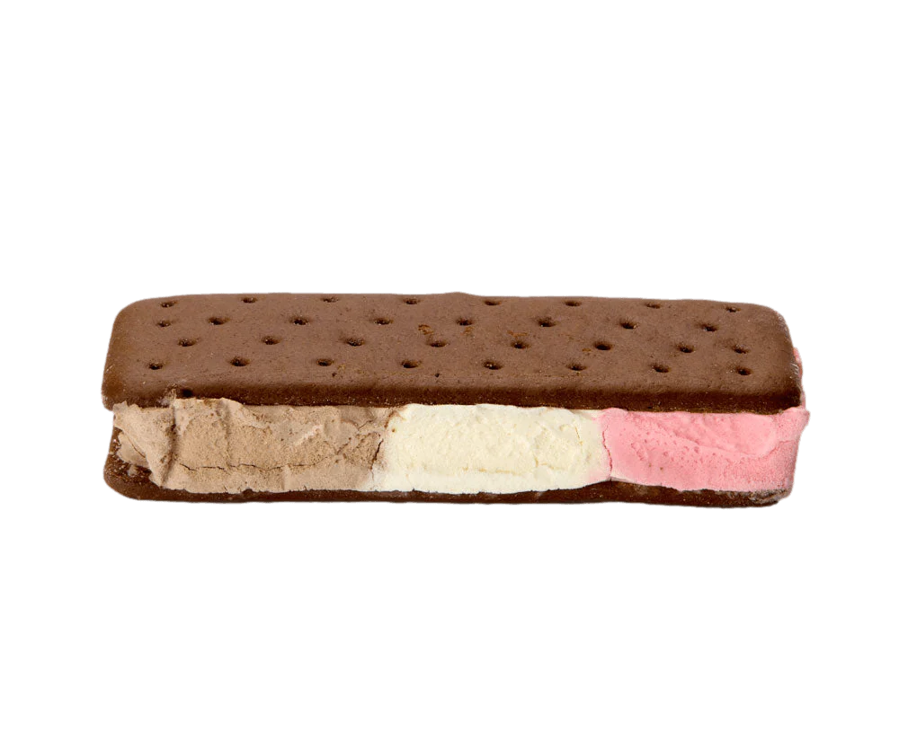 Astronaut Foods-Astronaut Neapolitan Ice Cream Sandwich-130006-Legacy Toys