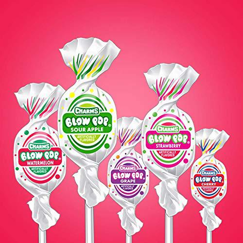 Charms Assorted Fruit Flavor Blow Pop Lollipops - Case of 100 - All City  Candy