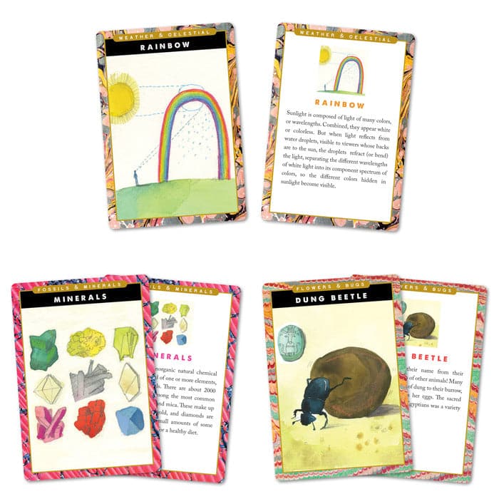 eeBoo-Flash Cards - Natural and Earth Science-FLSCI-Legacy Toys