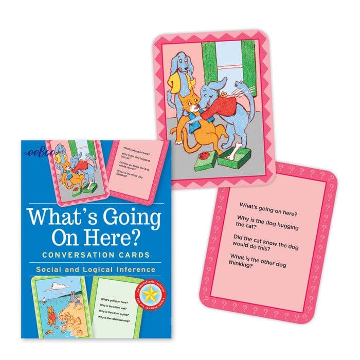 eeBoo-What's Going On Here - Hardbox Flashcards-50776-Legacy Toys