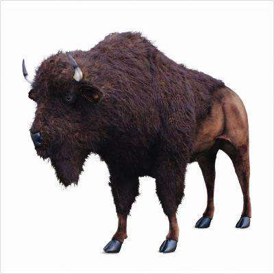 Hansa-Hansa Plush Buffalo Lifesize 96''L x 72