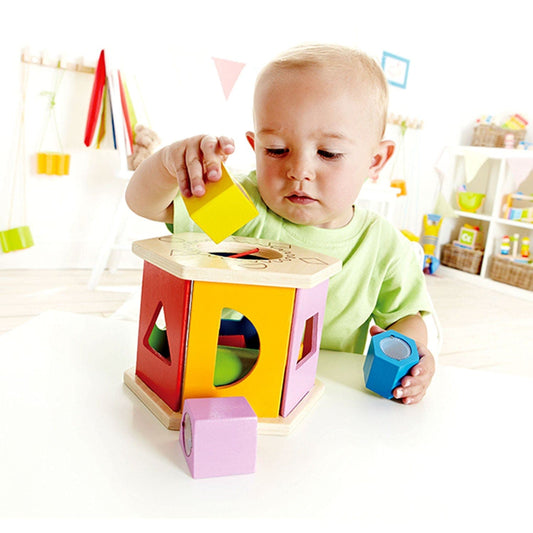 Hape-Shake and Match Shape Sorter-E0407-Legacy Toys