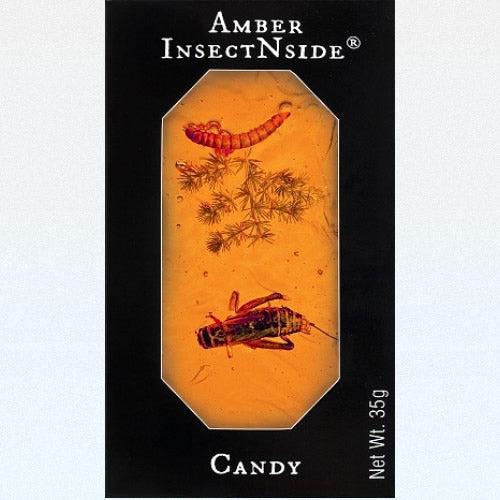 Hotlix-InsectNside Amber Brittle-184-1-Legacy Toys