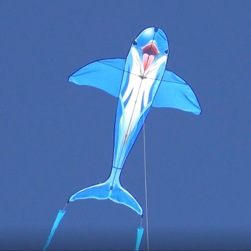 HQ Kites-Dolphin Kite 6.5 Feet-100186-Legacy Toys
