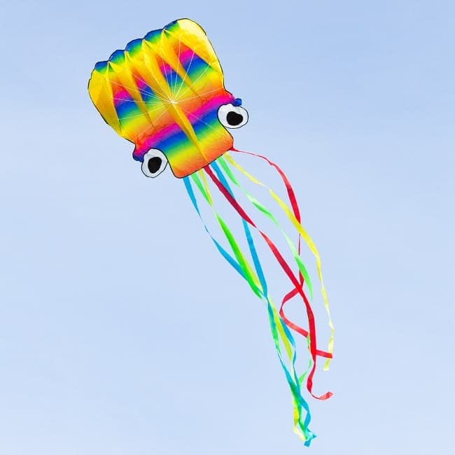 HQ Kites-Rainbow Octopus Kite Large-106901-Legacy Toys