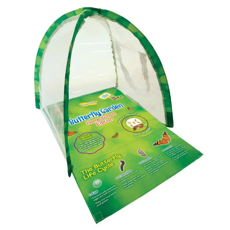 Insect Lore-Butterfly Garden Home School Edition with Prepaid Voucher-1035-Legacy Toys