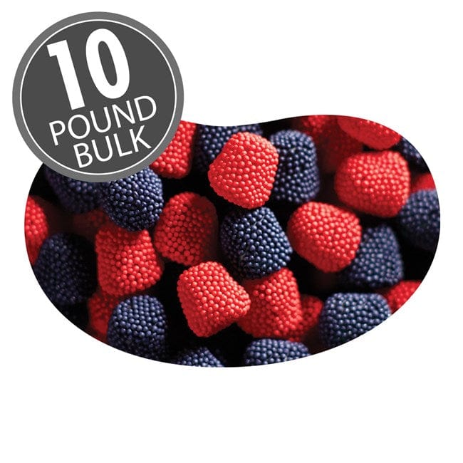 Jelly Belly-Strawberries & Blueberries - 10 lbs. Bulk-5314-Legacy Toys