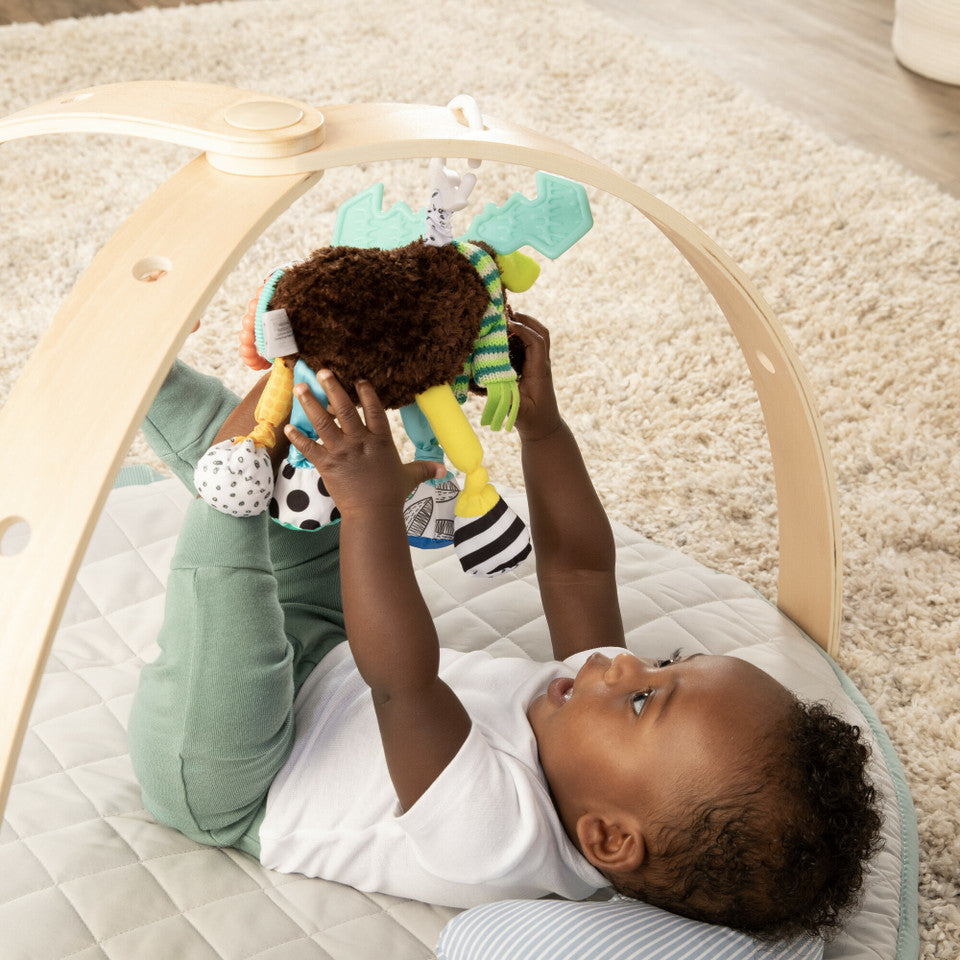 Mortimer the Moose Clip Go - Main Image