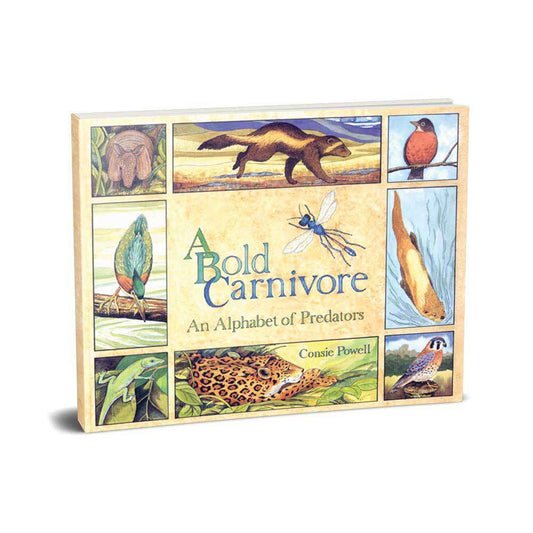 Legacy Bound-A Bold Carnivore-LBP2307-Softcover-Legacy Toys