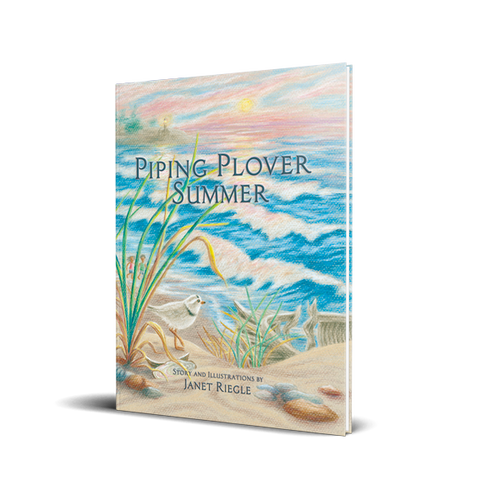 Legacy Bound-Piping Plover Summer-LBP2413-Hardcover-Legacy Toys