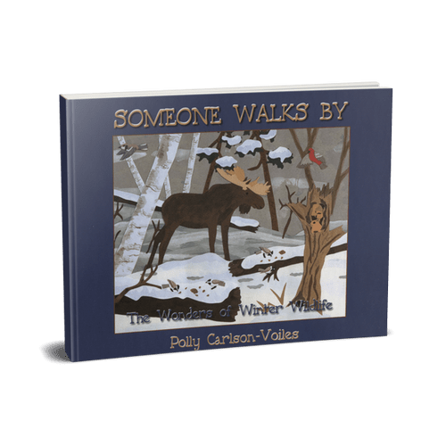 Legacy Bound-Someone Walks By-LBP2314-Softcover-Legacy Toys