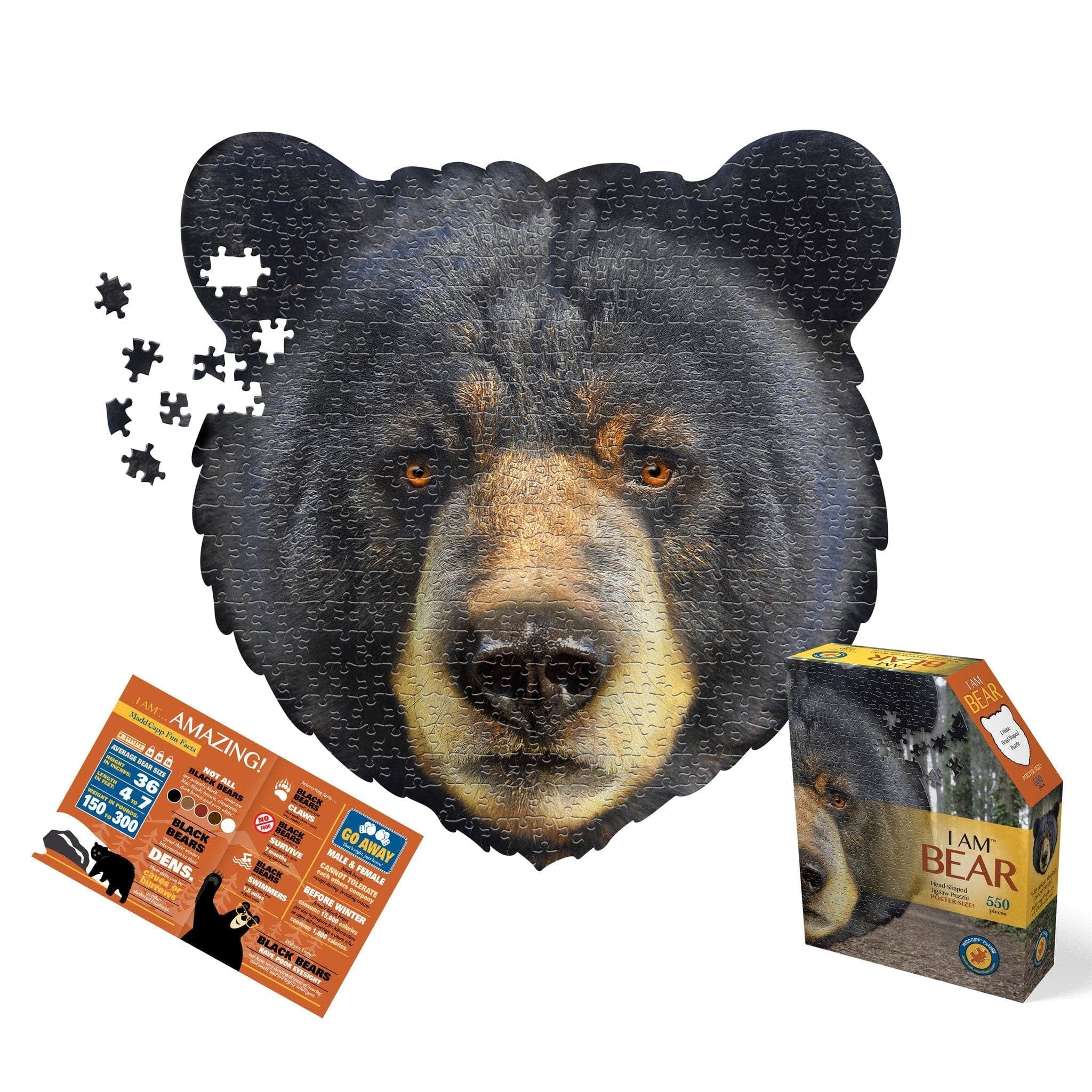 Madd Capp Games-I am Bear - 550 Piece Puzzle-3004-IAMBear-Legacy Toys