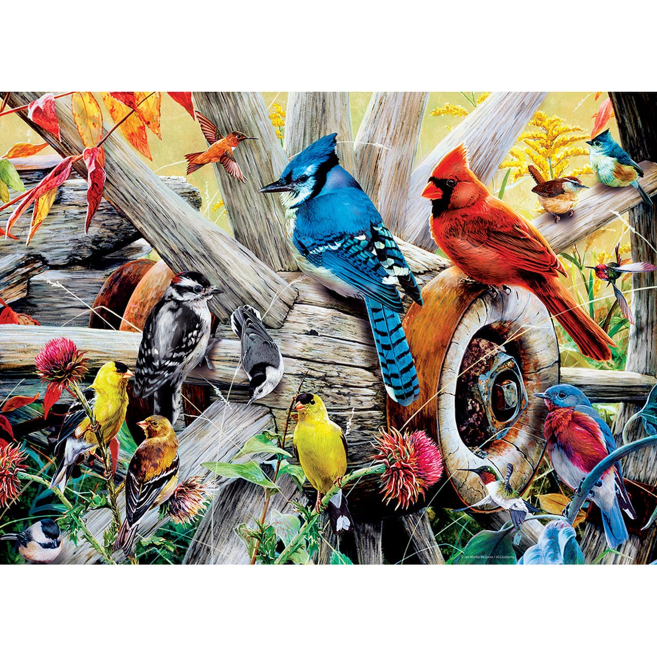 MasterPieces-Audubon - Backyard Birds - 1000 Piece Puzzle-31978-Legacy Toys