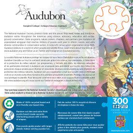 MasterPieces-Audubon - Songbird Collage - 300 Piece EZGrip Puzzle-32302-Legacy Toys