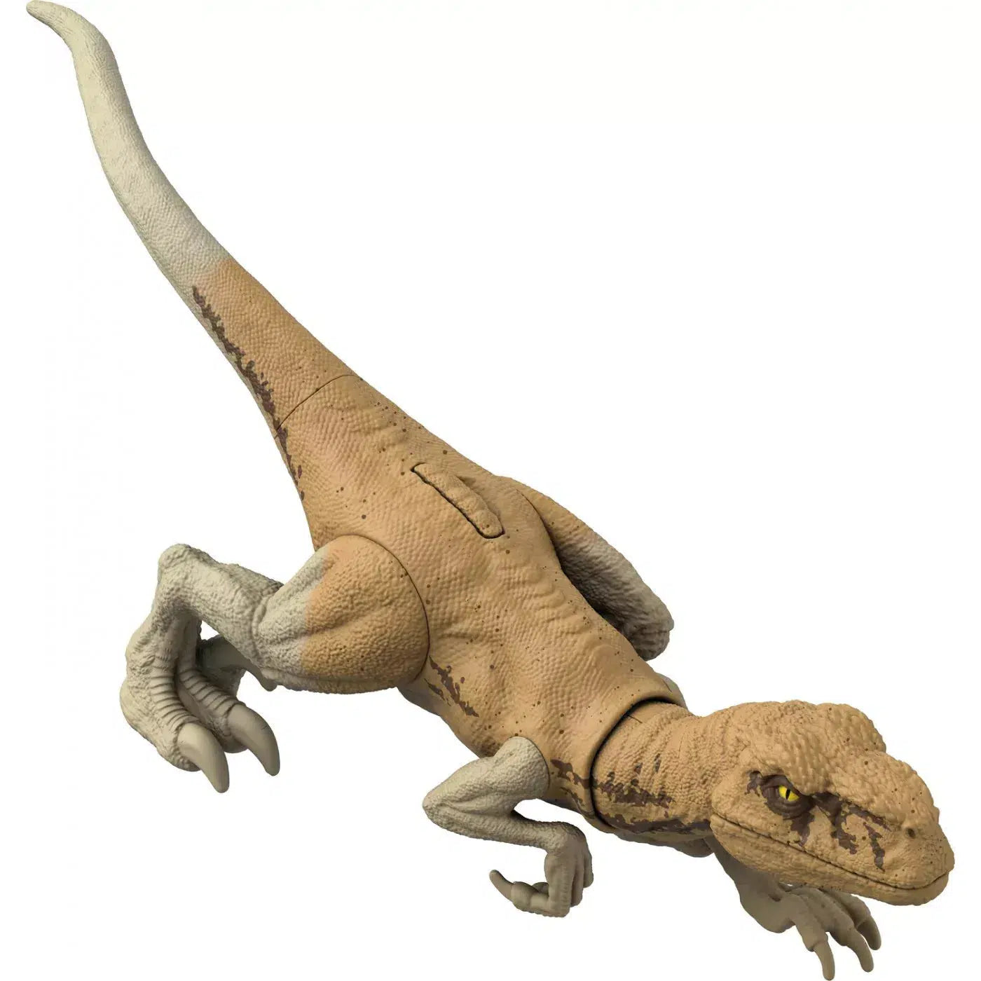 Mattel-Jurassic World Ferocious Pack Assortment-HDX30-Atrociraptor-Legacy Toys