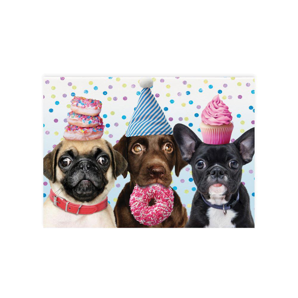 Peaceable Kingdom-Celebrating Dogs Glitter Birthday Card-11497-Legacy Toys