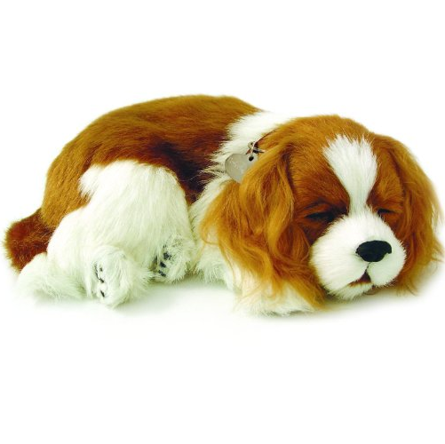 Perfect Petzzz-Perfect Petzzz Cavalier King Charles-XP91-20-Legacy Toys