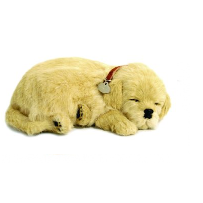 Perfect Petzzz-Perfect Petzzz Golden Retriever-XP91-02-Legacy Toys