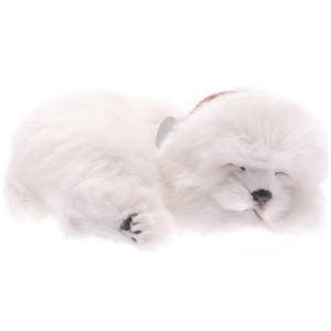 Perfect Petzzz-Perfect Petzzz Maltese-XP91-31-Legacy Toys