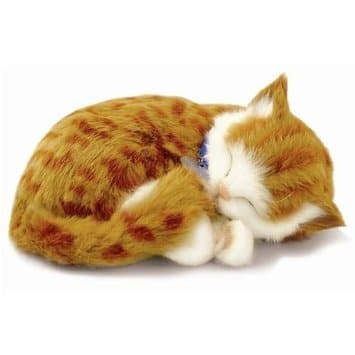 Perfect Petzzz-Perfect Petzzz Orange Tabby Kitten-XP92-05-Legacy Toys