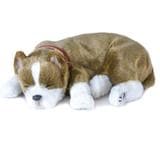 Perfect Petzzz-Perfect Petzzz Pit Bull-XP91-41-Legacy Toys