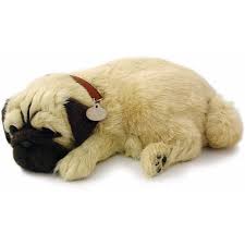 Perfect Petzzz-Perfect Petzzz Pug-XP91-09-Legacy Toys