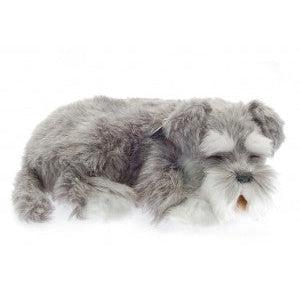 Perfect Petzzz-Perfect Petzzz Schnauzer-XP91-10-Legacy Toys