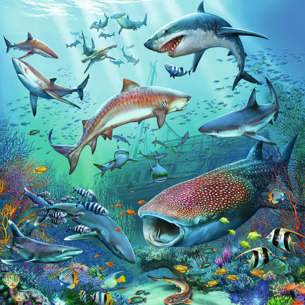 Ravensburger-Animal World of the Ocean - 3x49 Piece Puzzle-5149-Legacy Toys
