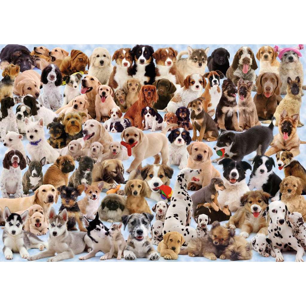 Ravensburger-Dogs Galore! 1000 Piece Puzzle-15633-Legacy Toys