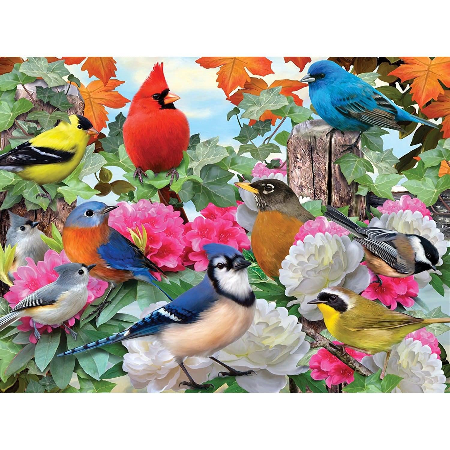 Ravensburger-Garden Birds - 500 Piece Puzzle-14223-Legacy Toys