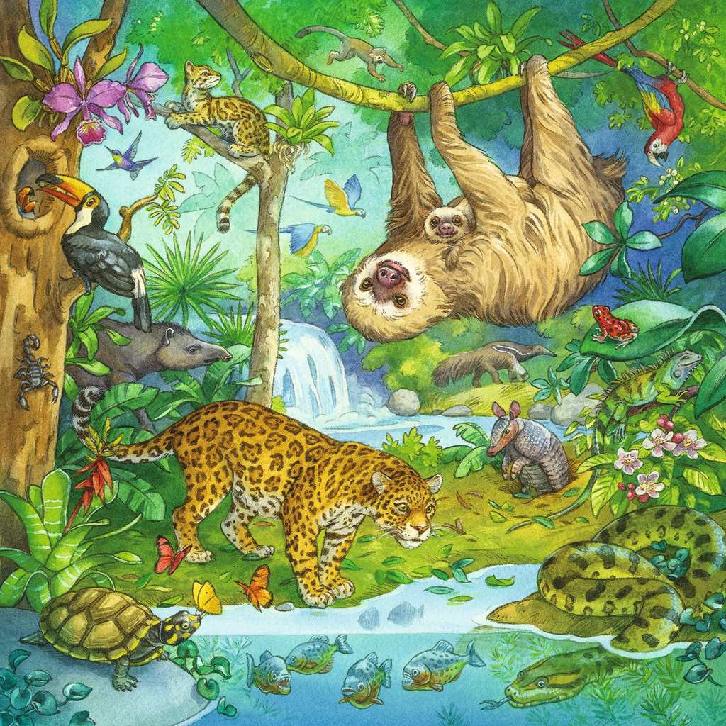 Ravensburger-Jungle Fun - 3x49 Piece Puzzle-5180-Legacy Toys