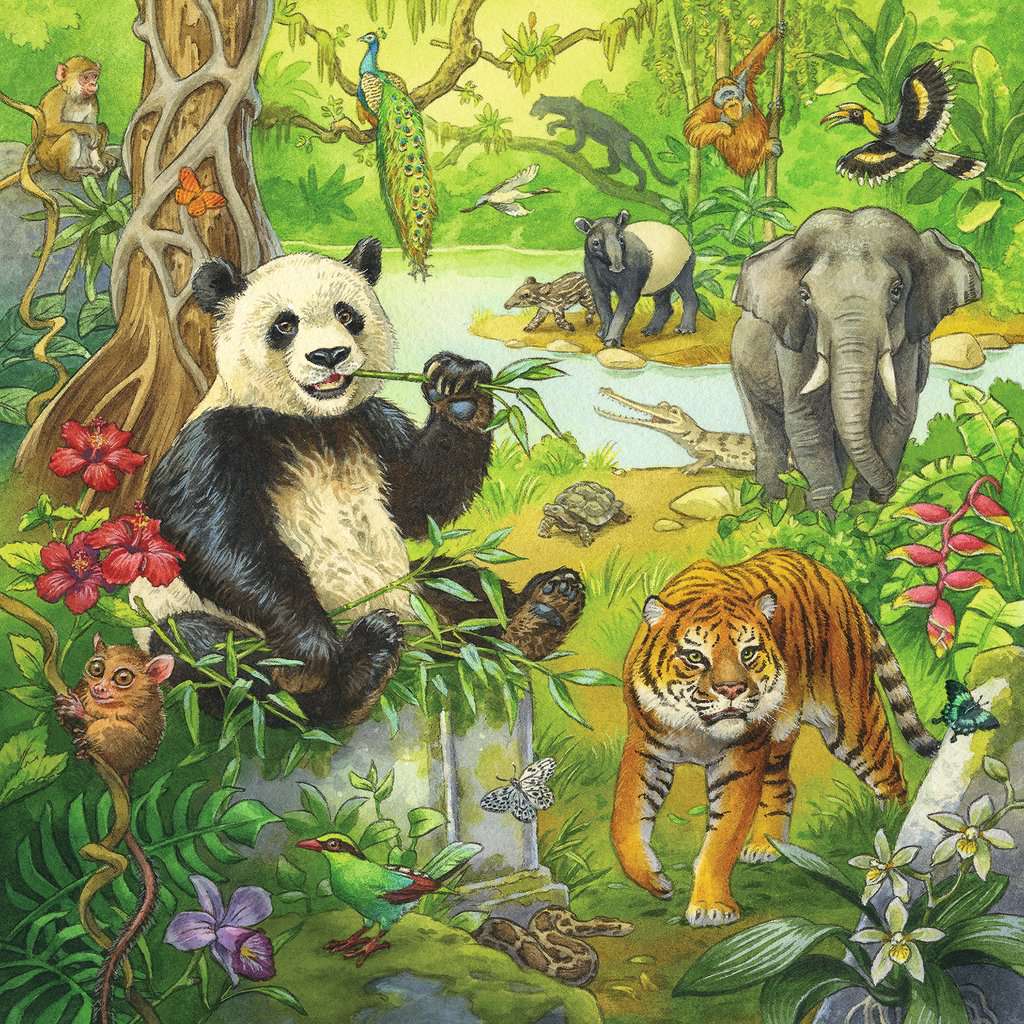 Ravensburger-Jungle Fun - 3x49 Piece Puzzle-5180-Legacy Toys