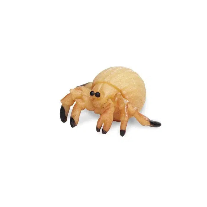 Safari Ltd-Good Luck Minis Hermit Crabs-342822-Legacy Toys