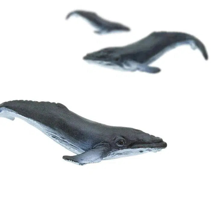 Safari Ltd-Good Luck Minis Humpback Whales-350822-Legacy Toys