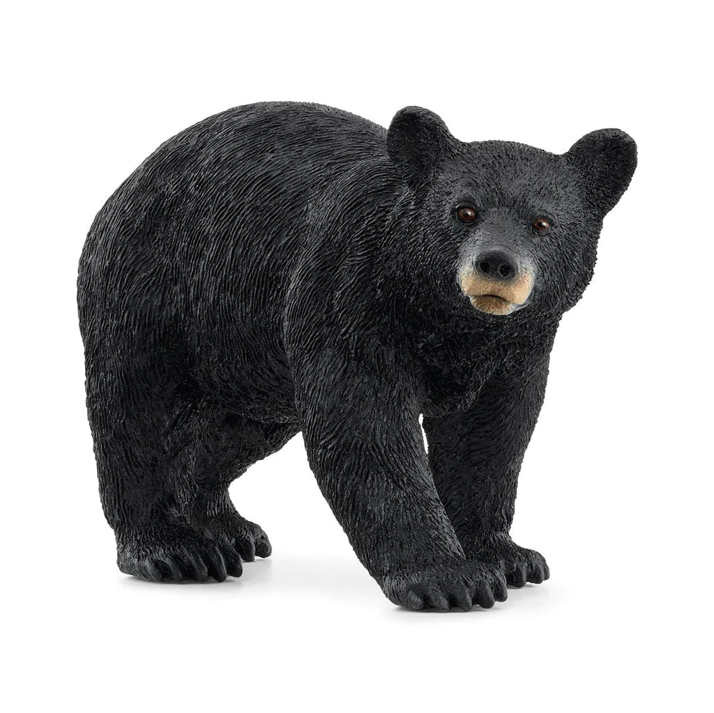 Schleich-American Black Bear-14869-Legacy Toys