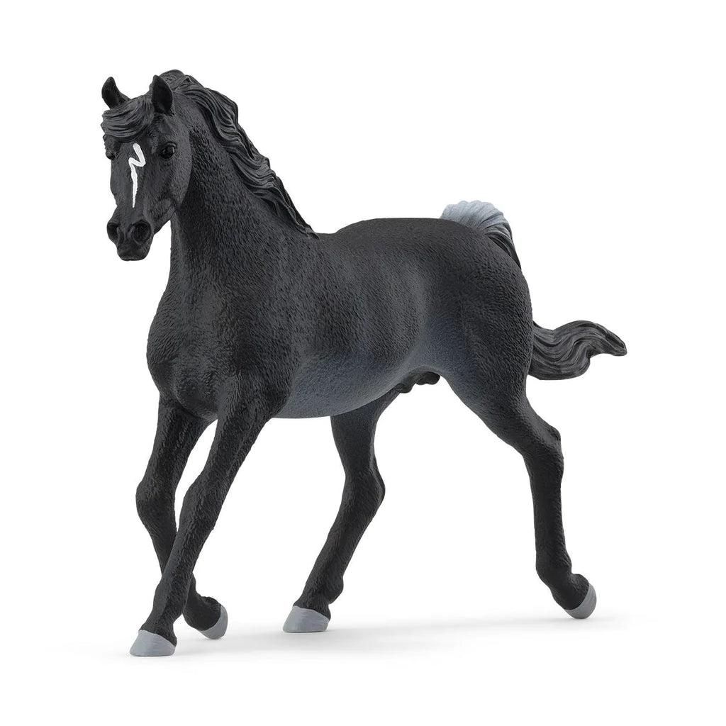Schleich-Arabian Stallion-13981-Legacy Toys