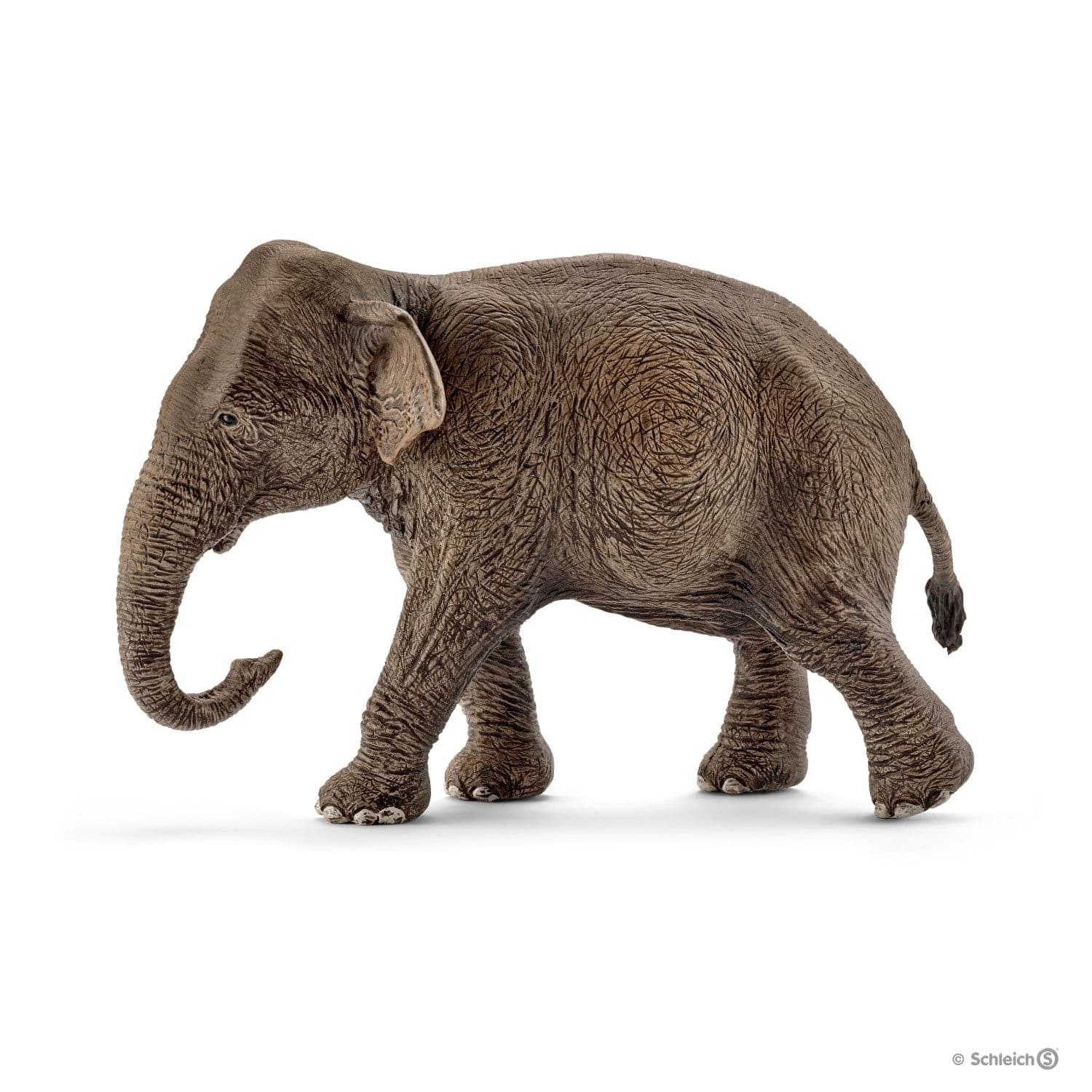 Schleich-Asian Elephant, Female-14753-Legacy Toys