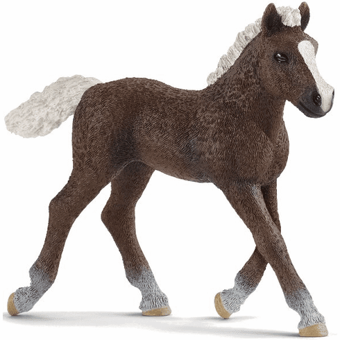 Schleich-Black Forest Foal-13899-Legacy Toys