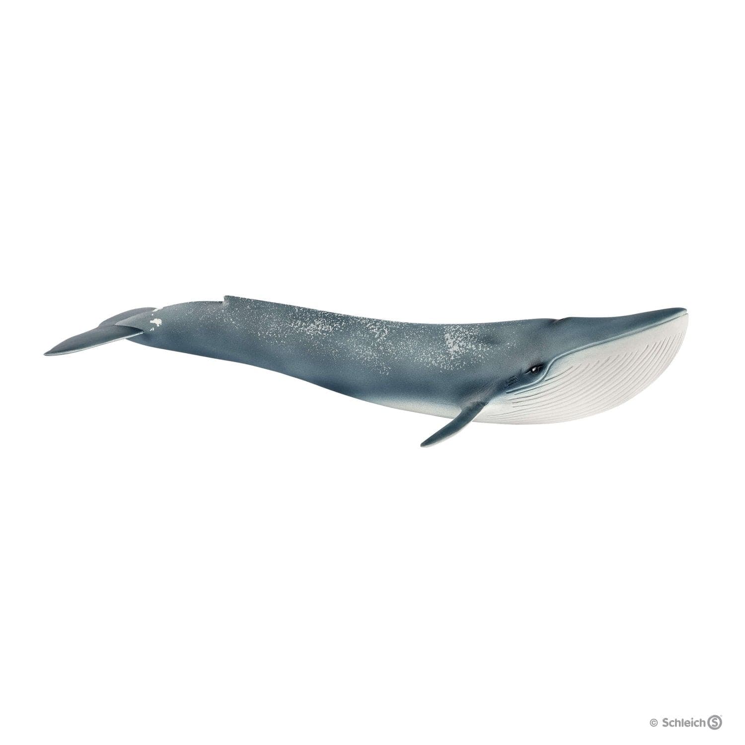 Schleich-Blue Whale-14806-Legacy Toys