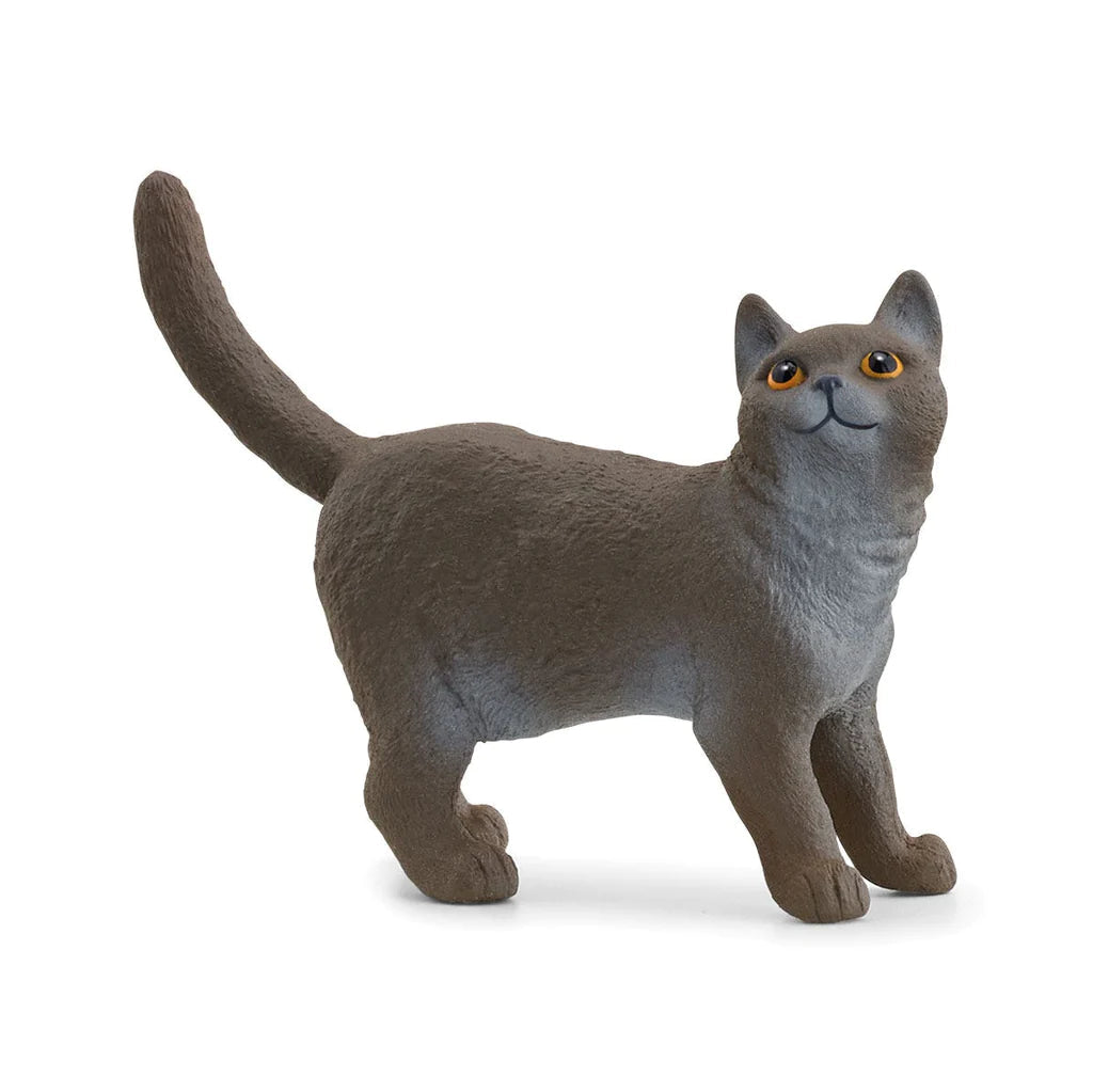 Schleich-British Shorthair Cat-13973-Legacy Toys